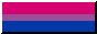 bi flag