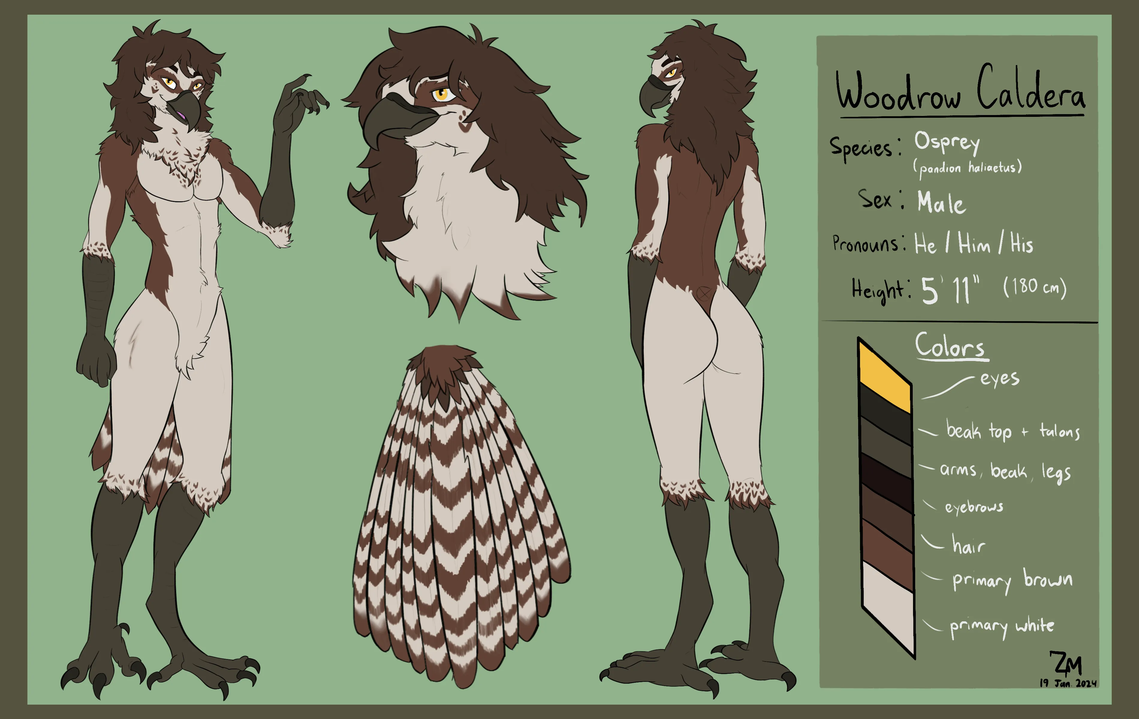 The current reference sheet for Woodrow Caldera